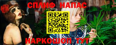 гашик Малоярославец