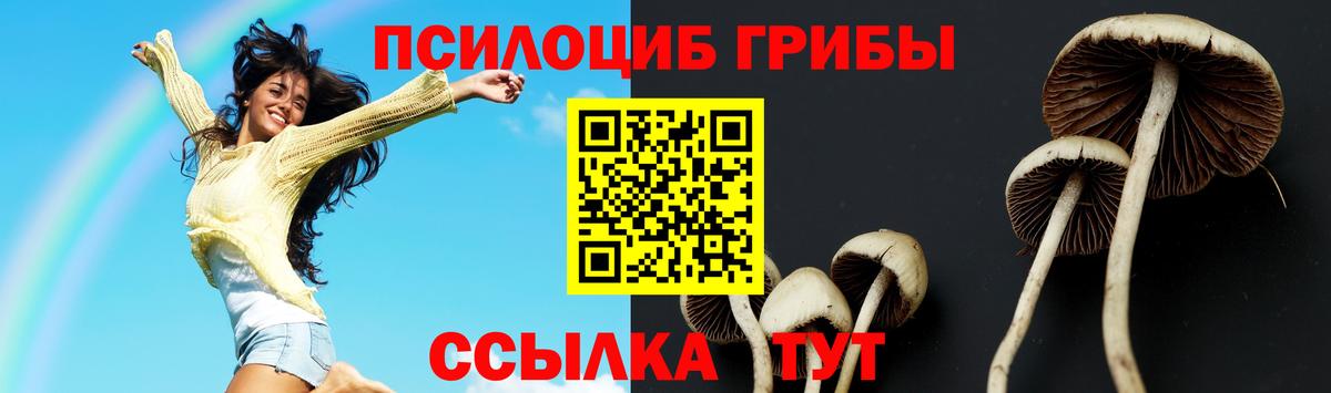 Галлюциногенные грибы мицелий  Вход с VPN  Щёлково 